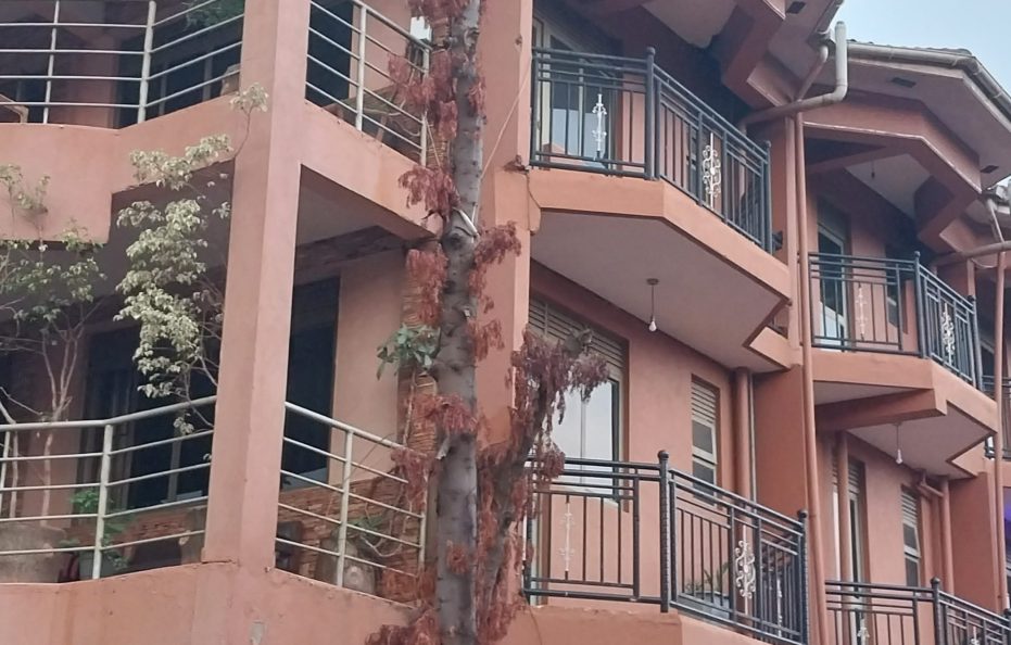 Satellite Hotel